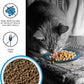 BIXBI Liberty Dry Food Salmon Recipe for Cats, 3lb