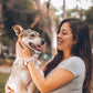 Natural Flea and Tick Collar for Puppies - Provides 24-Month Protection, Safe Pest Control - Waterproof and Strong - Includes Free Flea Comb and Tick Tweezer - 4-Pack