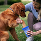 Dexas MudBuster Portable Dog Paw Washer/Paw Cleaner, Medium, Pro Blue