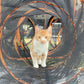 Catio Outdoor Cat Enclosures for Indoor Cats, 4-in-1 Outside Large Playground Include Portable Cat Tent, for Cats and Other Pets