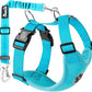 Lukovee Dog Seat Belt for Car, Adjustable Dog Car Harness for Large Medium Small Dogs, Soft Padded & Breathable Mesh Dog Seatbelt with Car Strap and Carabiner(Light Blue Double Clip,XXX-Small)