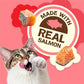 Purina Friskies Party Mix Cat Treats (Natural YUMS Salmon, 2.1 Ounce (Pack of 6))