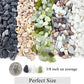 5lbs Natural Pea Gravel Pebbles, 3/8 Inch Decorative Succulent Rocks Pebbles for Indoor Plants. River Rocks for Vase and Outdoor Garden Landscaping Rocks