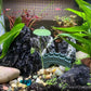 Unocho Aquarium Rocks Seiryu Rock Stone 11LB Dragon Stone for Aquariums Landscaping Model Tank Decoration Aquarium Miniature and Fairy Garden(3 to 8 inches)