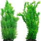 kathson Aquarium Plants Plastic Realistic Tall Fish Tank Plant Decorations Seaweed Fish Tank Decor Artificial Plants Ornament for Aquarium Extra Large 21.7 Inches (Green,2 PCS)