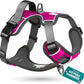 Embark Adventure Dog Harness, Reflective Trim XL Dog Harness for Extra Large Dogs No Pull - Military Grade Nylon, 2 Leash Clips & Gel Lined Handle.