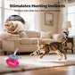 Cat Laser Pointer Toy for Bored Indoor Cats, Automatic Interactive Cat Toy, 360° Laser Rotation, USB Rechargeable, Wooble Base
