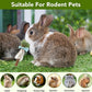 18-Pack Natural Alfalfa & Apple Wood Chew Lollipops for Small Pets - Healthy Dental Toys for Hamsters, Rabbits, Guinea Pigs, Chinchillas