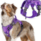 rabbitgoo Tactical Dog Harness Medium Sized Dog, No Pull Military Service Vest with Handle & Molle, Easy Control for Training Walking, Adjustable Reflective Straps, Purple Camo, M