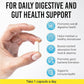 BIGJOHNLAB® Probiotics 60 Billion CFU – 10 Strains + Organic Prebiotics – Immune, Digestive & Gut Health – Supports Occasional Constipation, Diarrhea, Gas & Bloating – for Women & Men – 30ct