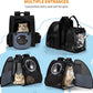 Expandable Pet Carrier Backpack with Transparent Bubble Window, Gray Mesh Travel Bag, Portable Space Capsule Design with Foldable Dogs Carrier for Pets (Black)