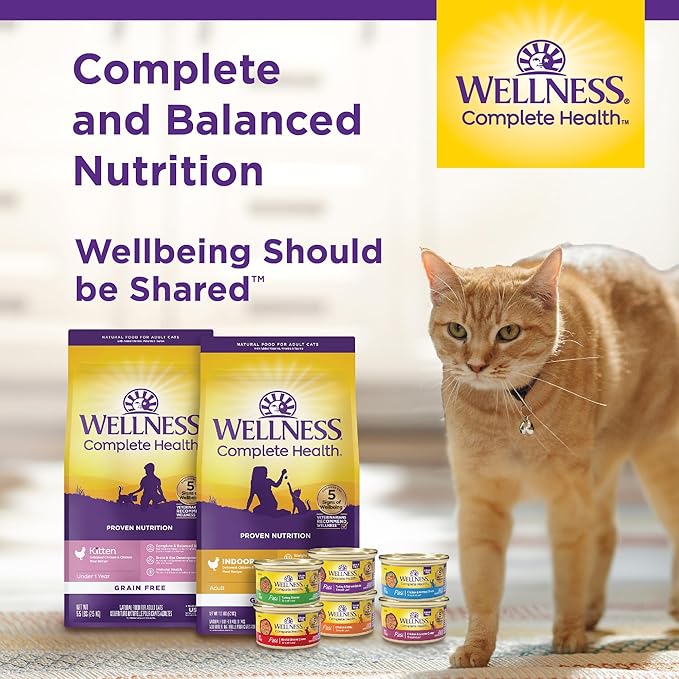 Wellness Complete Health Pate Kitten Wet Cat Food, Natural, Protein-Rich, Grain Free, 3 Ounce, 24 Pack, (Chicken)