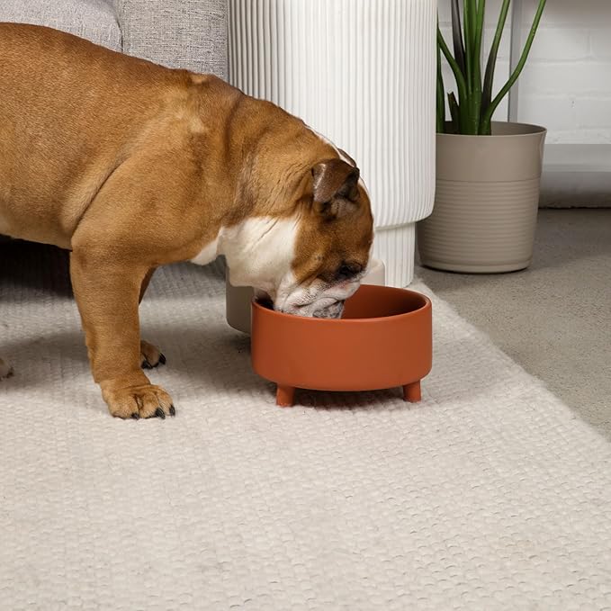 Waggo Uplift Ceramic Dog Bowl for Small Medium and Large Breeds - Heavyweight and Durable Pet Food and Water Dish Crock, Dishwasher Safe, Modern, Elevated Feeder (Teracotta, Medium)