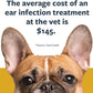 Veterinary Formula Clinical Care Ear Therapy, 8 oz. – Cat and Dog Ear Cleaner – Helps Soothe Itchiness and Clean The Ear Canal of Debris and Buildup