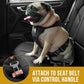 OneTigris Dog Safety Vest Harness, REX Car Use Dog Harness Adjustable Pet Harness with Leash for Medium Large Dogs(Black,M)