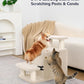 Happi N Pets Dog Stairs with Cat Scratching Post & Large Condo, Stable Pet Steps for High Beds Couch, 3 Combinations Cat Ramp Tree Tower for Cats or Small Dogs, Removable Cushion & Bonus Toy, Beige