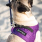 Comfort Fit Dog Harness No Pull No Escape Harness Adjustable Buckles Soft Padded Reflective Choke Step in Dog Vest with Easy Control Handle for Small Medium Large Dogs & Puppies