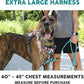 Embark Adventure Dog Harness, Reflective Trim XL for Extra Large Dogs No Pull - Military Grade Nylon, 2 Leash Clips & Gel Lined Handle. Soft & Padded Puppy Dog Harnesses for Any Breed