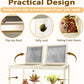 Prolee Reptile Terrarium Tank 60 Gallon Maximum, Lizard Tank Bearded Dragon Tank with Metal Mesh Roof Door, Snake Tank with Lock Design, 40" Length