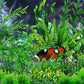 Aquarium Decorations - 25pcs Green Plants for Fish Tank, Plastic Decor Accessories