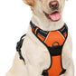 BARKBAY No Pull Dog Harness Large Step in Reflective Dog Harness with Front Clip and Easy Control Handle for Walking Training Running(Orange,L)