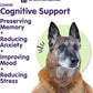 Dr. Bill’s Canine Cognitive Support | Memory Support Supplement Multivitamin for Dogs | Contains Gingko Biloba, L-Carnosine, Vitamin B-12, L-Glutamine, L-Tyrosine, and DHA for Adult and Senior Dog