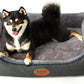 Orthopedic Dog Beds for Medium Dogs, Durable Egg Crate Foam Sofa Dog Bed wit Washable Removable Cover,Waterproof Lining,Pet Bed for Large Dogs (Dark Grey-Velvet, 26.4" L x 21.7" W x 6.2" Th)