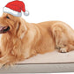 Orthopedic Memory Foam Dog Bed, Cooling Dog Beds for Medium/Large Dogs -Waterproof Pet Bed for Crate with Removable Washable Cover, L(35inch,65Lbs)