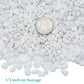 Mr. Fireglass 5 lbs White Pebbles,1/5" Natural Decorative River Rocks Aquarium Gravel for Indoor Plants, Vases, Succulents and Outdoor Garden Landscaping