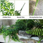 BNOSDM Reptile Vines, Bendable Jungle Climbing Vine, Terrarium Artificial Plants Decor, Reptiles Tank Accessories for Bearded Dragons, Chameleons, Snakes, Lizards, Hermit Crabs