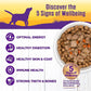 Wellness Complete Health Thick & Chunky Natural Canned Wet Dog Food, Lamb & Beef Stew, 12.5-Ounce Can (Pack of 12)