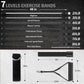 VEICK Resistance Bands, Exercise Bands for Working Out with Handles, Elastic Workout Bands for Men Women, Exercising Bands for Strength Training Equipment at Home Gym