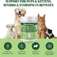 Special Breed Green Lipped Mussel Powder for Dogs & Cats - 100% New Zealand Green Lipped Mussels - Natural Hip & Joint Supplement for Joints, Tendons, Ligaments, Muscles - 400 Grams - 1,333 Servings