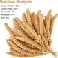 Amzey 5.5 LB Spray Millet for Parakeets, 100% Natural Dried Millet Grain for Birds, Non-GMO Bird Treat for Cockatiel, Finches, Parrots & Lovebirds