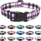 Mercano Adjustable Dog Collar - Special Design Patterns, Soft Nylon Comfortable Durable Pet Collar for Small Medium Large Dogs (M, Purple Plaid)