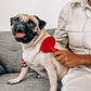 Tuff Pupper Round Bristle Soft Brush for Dogs and Cats | Gentle Grooming for Short or Long Hair | Soft Pin Tool for Sensitive Skin | Detangle & Remove Loose Fur | For Dematting & Detangling Undercoat