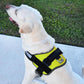 Dogline Dog Harness, Reflective No-Pull Adjustable Vest with Handle for Walking, Training, Breathable, No - Choke Harness for Small, Medium or Large Dogs Room for Patches Girth 27 to 34 in Lime Green