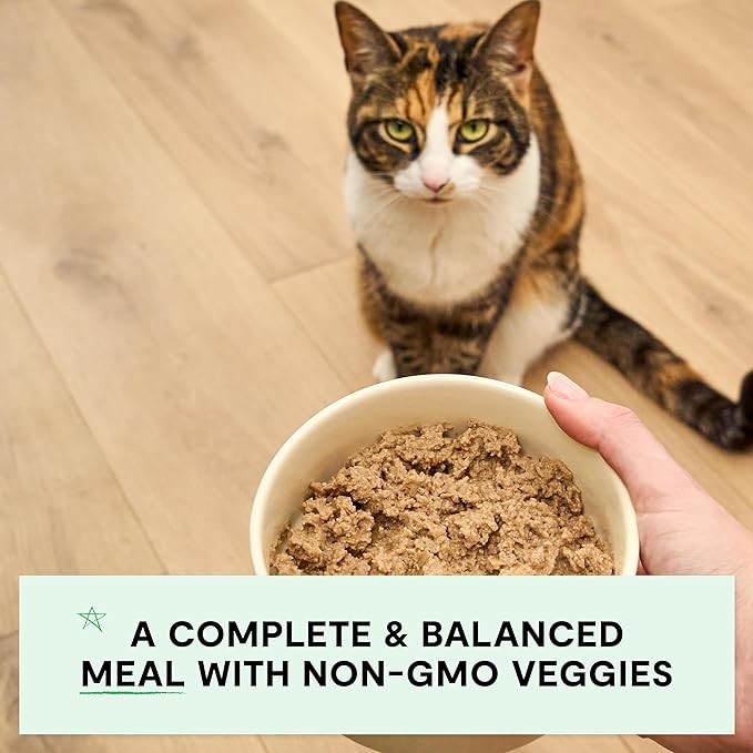 Open Farm Canned Cat Food, Paté for Complete & Balanced Nutrition, Grain-Free and Legume-Free Wet Cat Food, Chicken & Salmon Recipe, 5.3oz Cans (Case of 12)