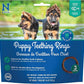N-Bone Puppy Teething Rings Salmon Flavor Dog Treat, 3 Count Bag, 3.6-oz