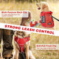 WINSEE Service Dog in Training Mesh Harness with 10 Pet Patches, Soft Air Mesh Breathable Tactical Dog Molle Vest, Reflective Military Pet Vest for Walking Hiking for Medium Dogs