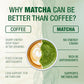 Organic Matcha Green Tea Powder (4-Oz) – Certified USDA Organic Powder for Matcha Latte, Tea, and Smoothies – Kosher, Non-Gmo, Antioxidant Rich by Total Tea