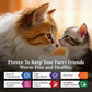No More Tapeworms in Cats - Dewormer for Cats - 3ml Dropper
