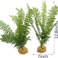 JIHAQUA Fake Fern Plants, Reptile Plastic Terrarium Decor, Reptiles Amphibians Tank Accessories for Crested Gecko Leopard Lizard Chameleon