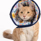 Cat Cone Collar – Colorful Cat Pattern - Lightweight Recovery Cone for Cats, Anti-Lick & Anti-Scratch, Vet Recommended, Elizabethan Collar (Colorful, XXS Long [Neck Girth: 7.5"-10.3"])