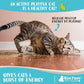 Raw Paws Fresh Catnip for Cats, 1-oz (2 Cups) - Use for Refillable Catnip Toys for Cats - Natural Dried Cat Nip
