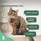 Cat Hip and Joint Pain Relief Supplement, Cat Arthritis Pain Relief, Heal from Sprains, Inflammation and Injuries, Improve Mobility, Natural Easy-to-Swallow, Odorless, Tasteless, 400 Pills