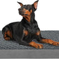 Orthopedic Memory Foam Dog Bed, Cooling Dog Beds for Extra Large Dogs -Waterproof Pet Bed for Crate with Removable Washable Cover, XXL(47inch,110Lbs)