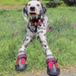QUMY Dog Shoes for Large Dogs, Medium Dog Boots & Paw Protectors for Winter Snowy Day, Summer Hot Pavement, Waterproof in Rainy Weather, Outdoor Walking, Indoor Hardfloors Anti Slip Sole Red Size 2
