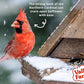 Valley Farms Fruit Nut & Berry 4 LB 2-Pack (8 LB Total) Wild Bird Food for Outside Feeders, Bird Seed with Dried Fruit, Peanuts Sunflower Hearts, Safflower High Energy Mix for Healthy Birds!