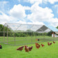 1.26’’ Large Metal Chicken Coop Walk in, Chicken Pen for Chickens, Outdoor Chicken Runs Coops Dog Kennel, Spire Roofed Chicken Runs for Yard with Anti-Ultraviolet Cover (9.8’Lx26.2’Wx6.4’H)